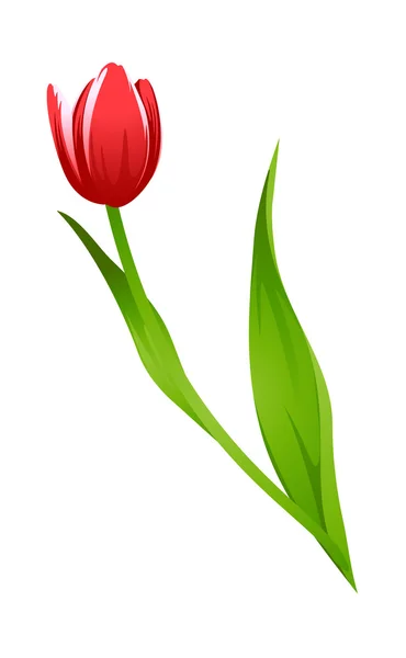 Vector icono tulipán — Archivo Imágenes Vectoriales