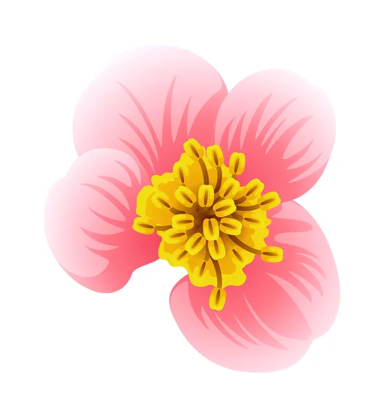 Вектор квітка — стоковий вектор
