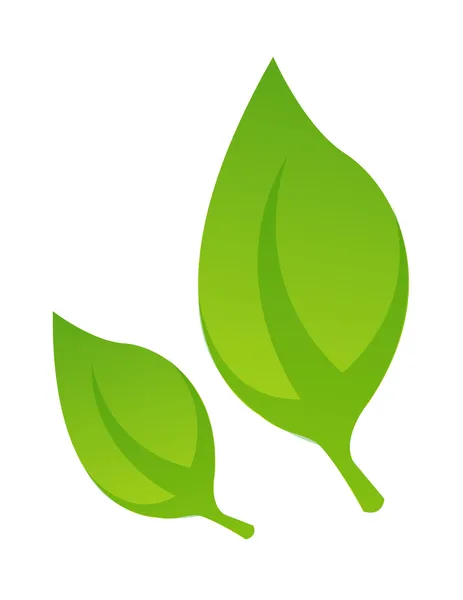 Icon leaf — Stock Vector