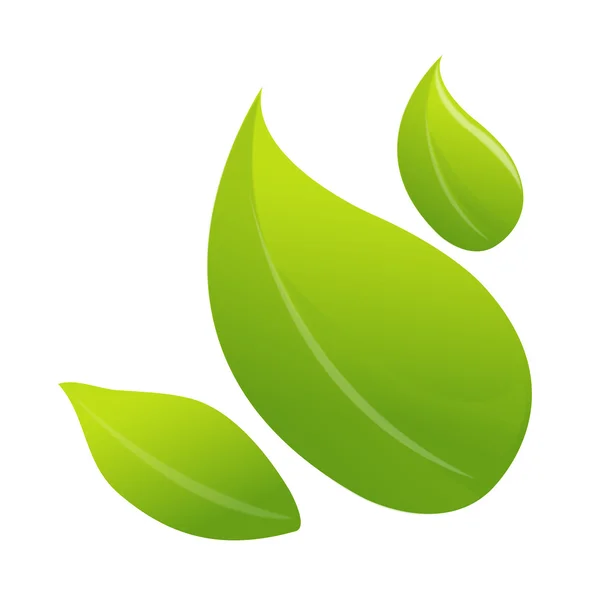 Icon leaf — Stock Vector