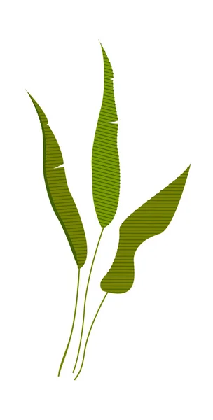 Icon leaf — Stock Vector