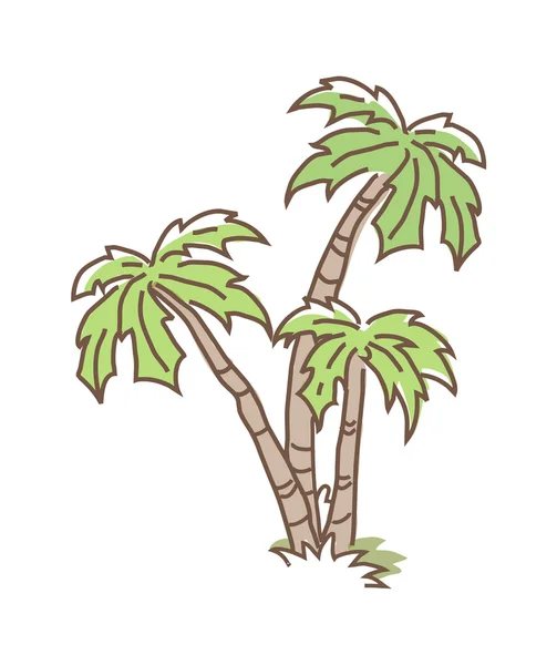 Vector palm — Stockvector