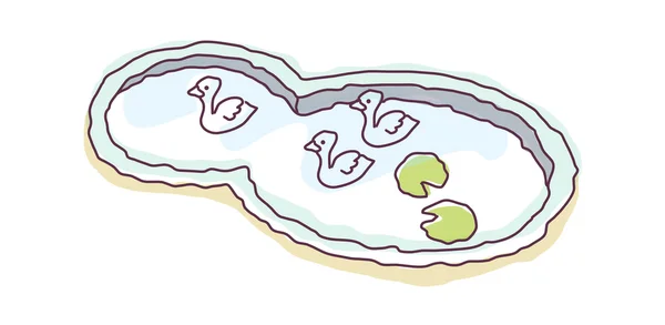 Canards vecteurs dans la piscine — Image vectorielle