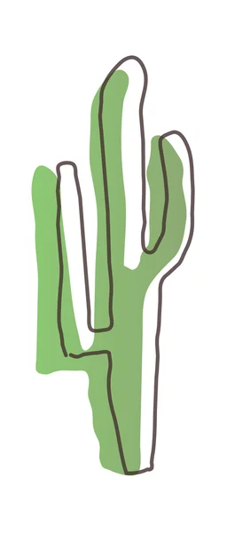 Grön kaktus — Stock vektor