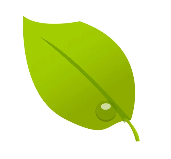 Yaprak yeşil — Stok Vektör