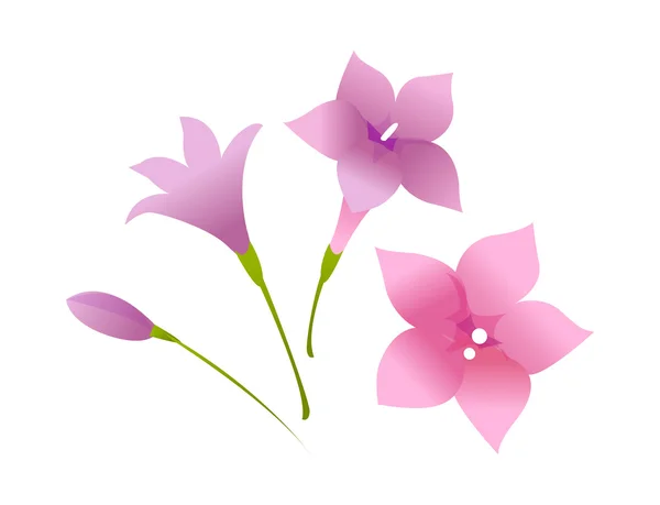 紫の花 — ストックベクタ