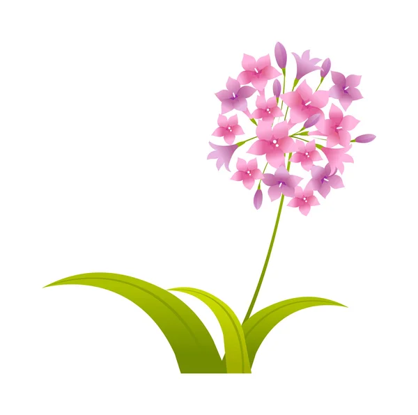 Lila virág — Stock Vector
