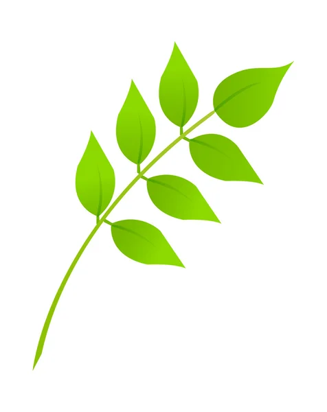 Hoja verde — Vector de stock