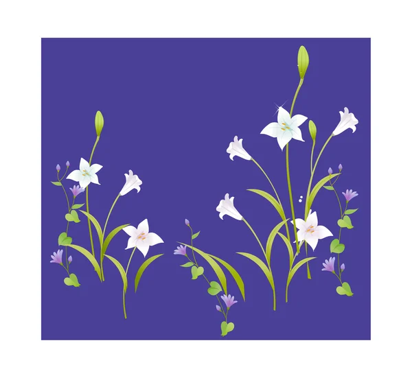 Flor blanca — Vector de stock