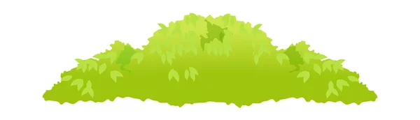 Arbustos verdes — Vector de stock