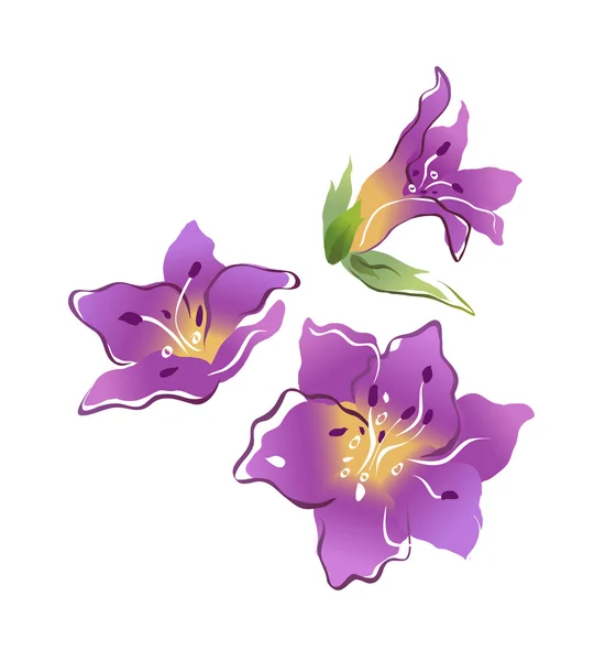 Gyönyörű lila virágok — Stock Vector
