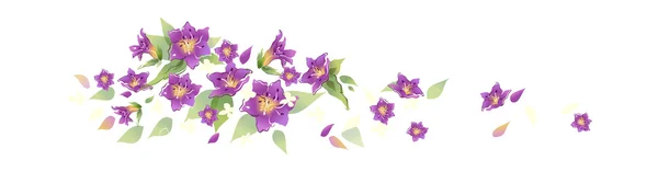 Όμορφα μωβ λουλούδια — Διανυσματικό Αρχείο
