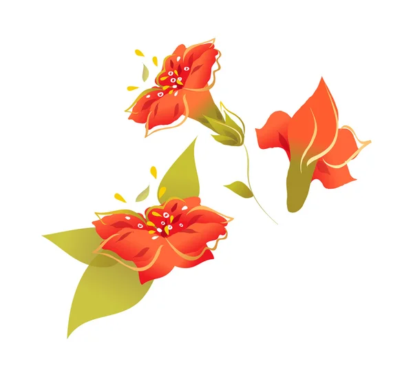 Red flowers — Stock Vector
