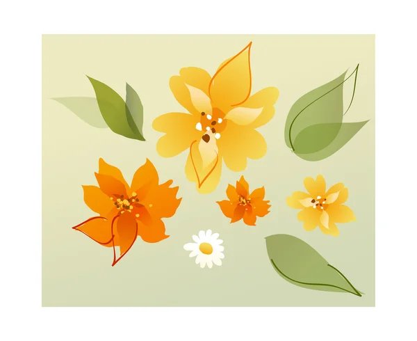Flowers and leaves — Stock Vector