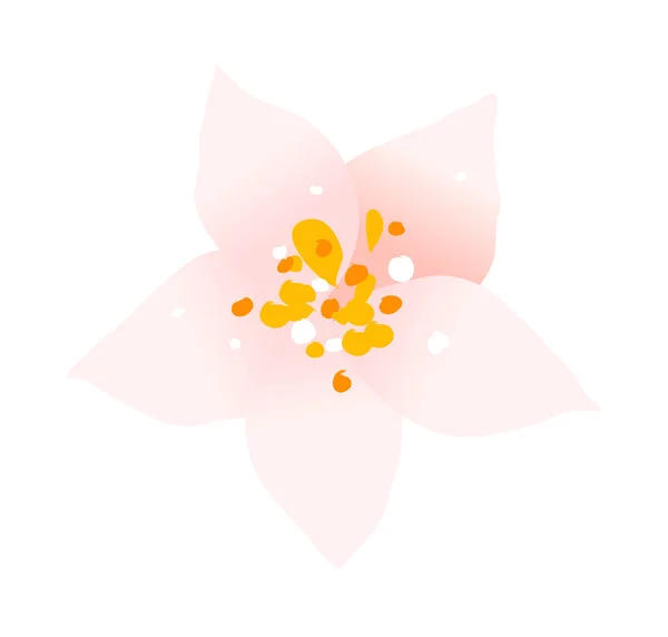 분홍빛 꽃의 근접 사진 — 스톡 벡터