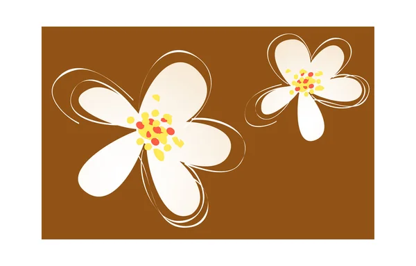 白い花 — ストックベクタ