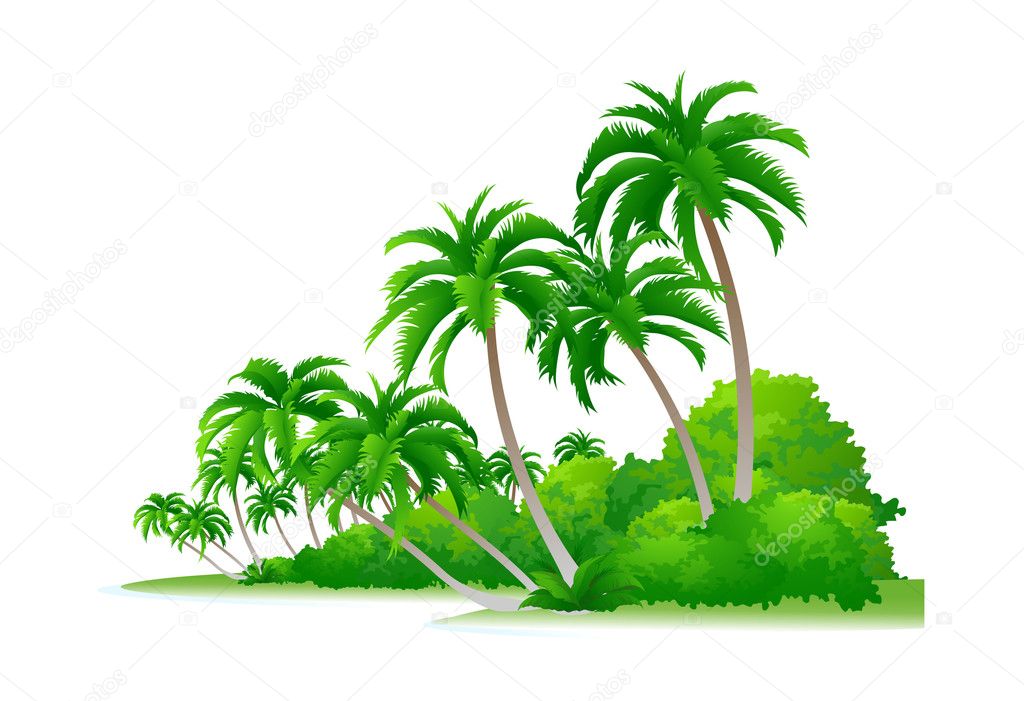 Vector icon palm tree and bush