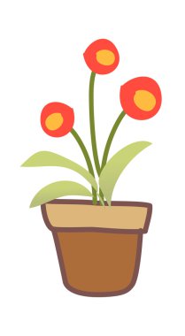 Kavanozda kırmızı çiçekler