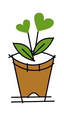 Fantastic potted plant