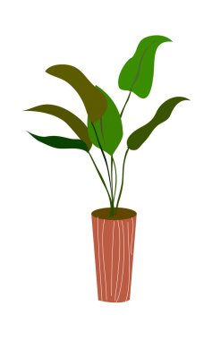 yeşil bir saksı bitki