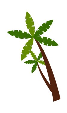 Yeşil tropikal palmiye ağacı