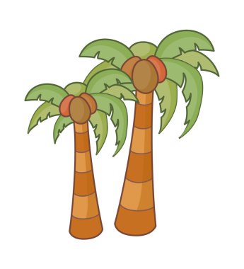 Hindistan cevizi avuç içi