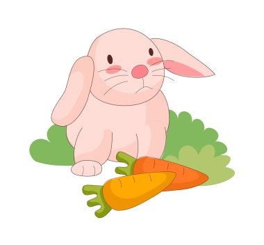 pembe tavşan