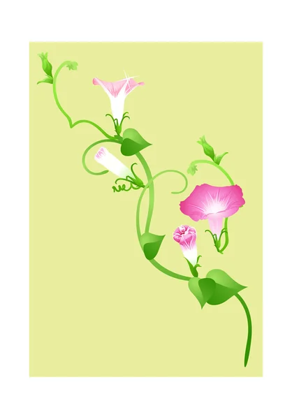 薄緑色の背景には花 — ストックベクタ