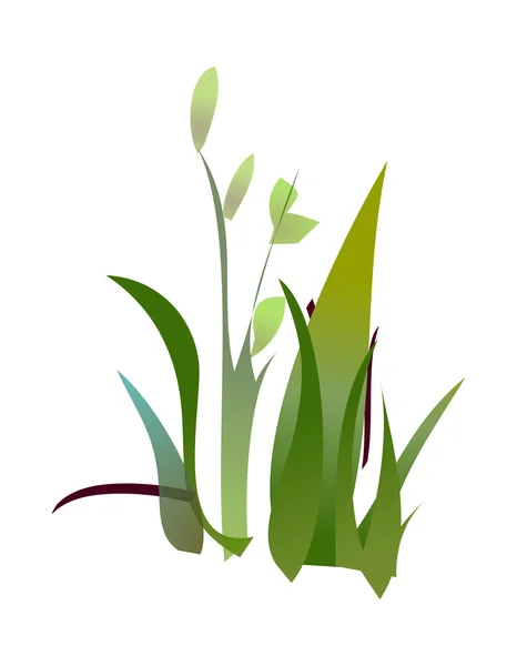 Green grass — Stock Vector