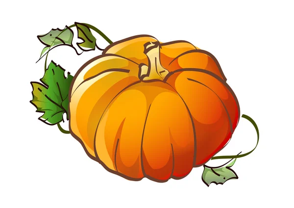 Pumpkin — Stock Vector