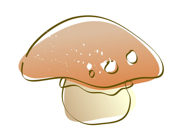 Amanita