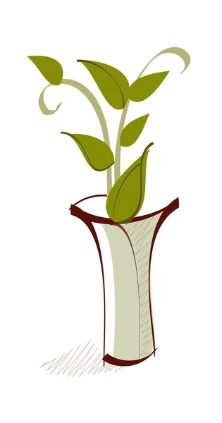 Planta en jarrón — Vector de stock