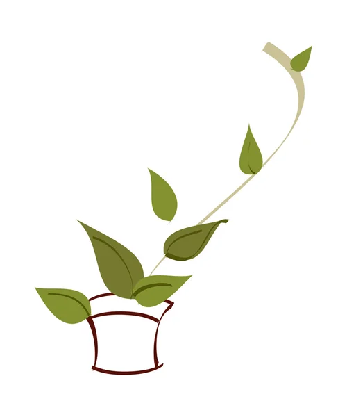 La pianta in vaso — Vettoriale Stock