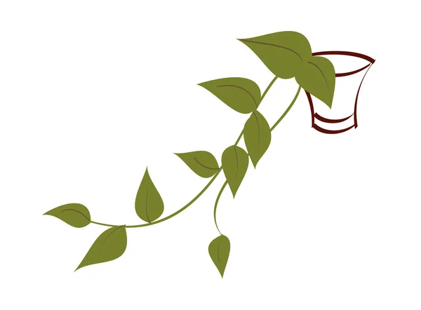Grön växt i en kruka — Stock vektor