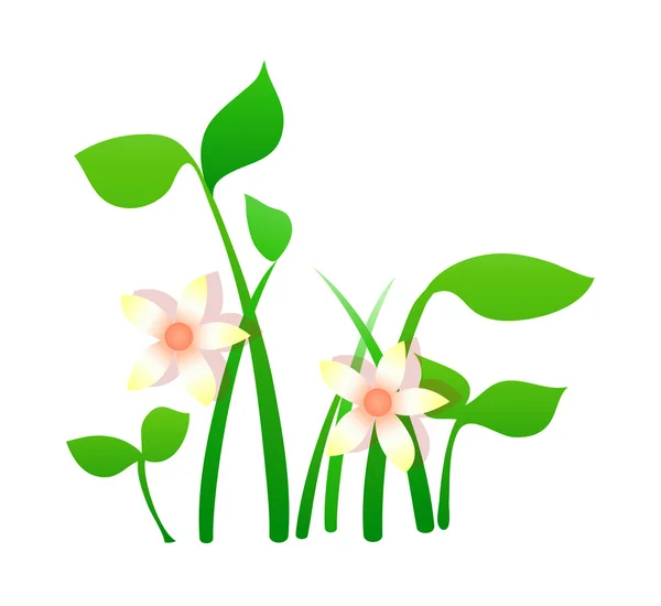 Plantas con flores — Vector de stock