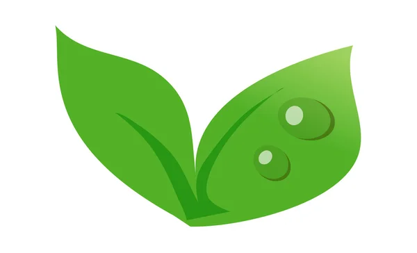 Groene plant — Stockvector