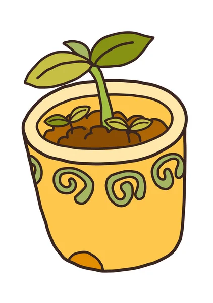 Planten in oranje pot — Stockvector