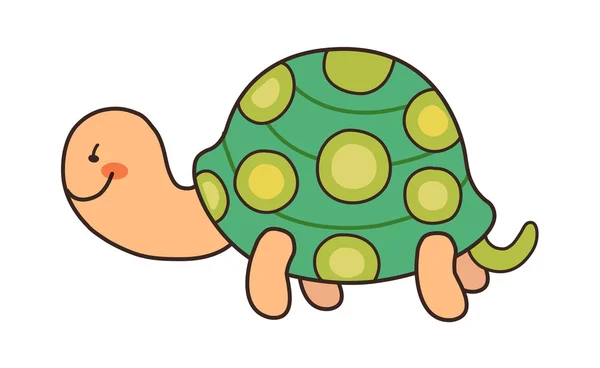 Green turtle — Stock Vector
