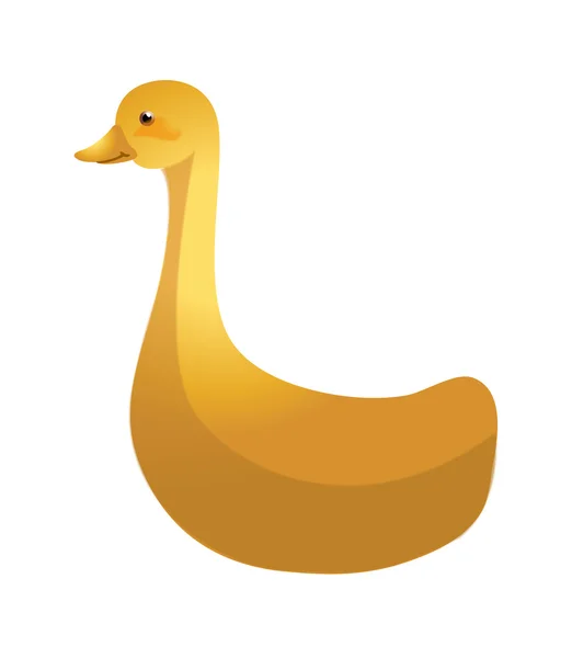 Orange swan — Stock Vector