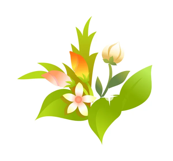 Flowering plants — Stock Vector