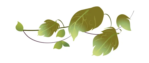 Зелена рослина — стоковий вектор