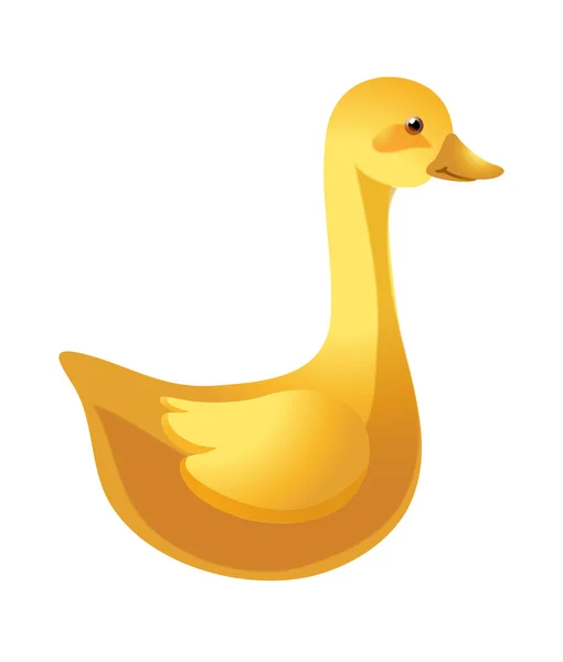 Yellow duck — Stock Vector