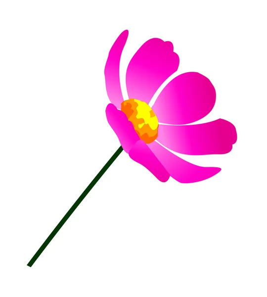 Красиву квітку — стоковий вектор