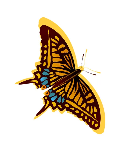 Hermosa mariposa — Archivo Imágenes Vectoriales