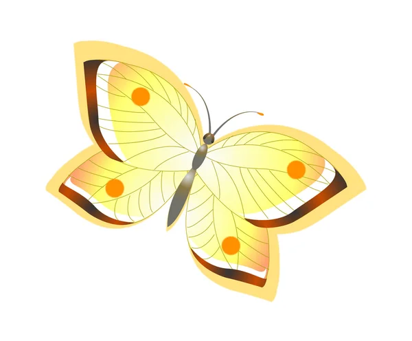 黄色の蝶 — ストックベクタ