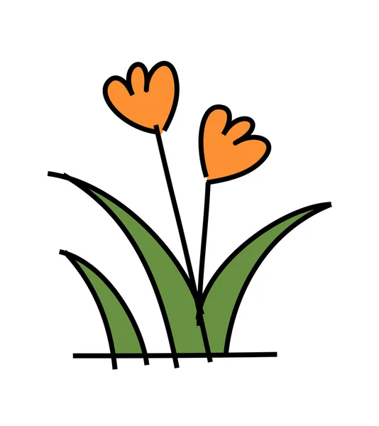 素晴らしい植物 — ストックベクタ