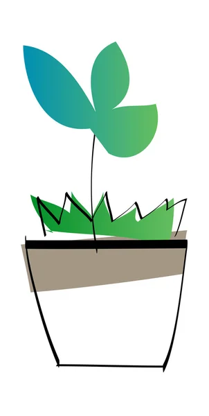 The potted plant — Stock Vector
