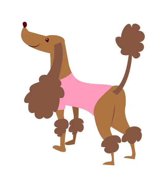 Caniche marron — Image vectorielle