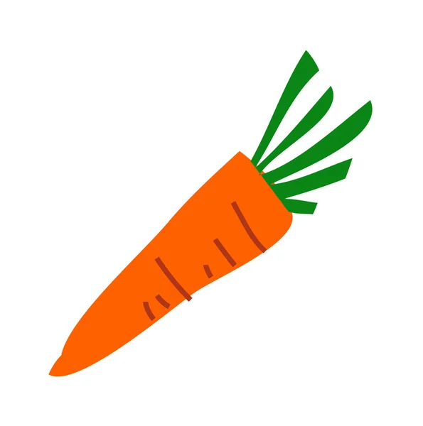 Carrot — Stock Vector