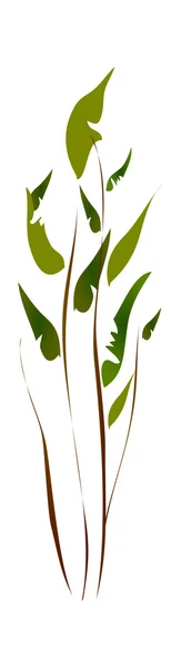 Planta verde — Vector de stock